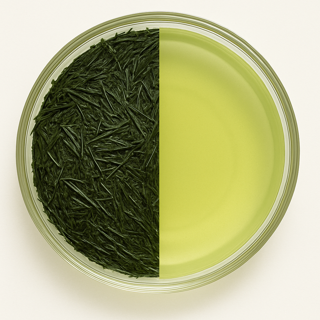Gyokuro Green Tea – Rare, Elegant & Umami-Rich - Image 3